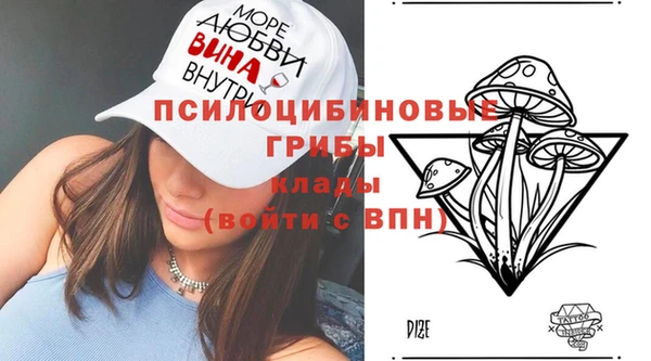 ПСИЛОЦИБИНОВЫЕ ГРИБЫ Зеленокумск