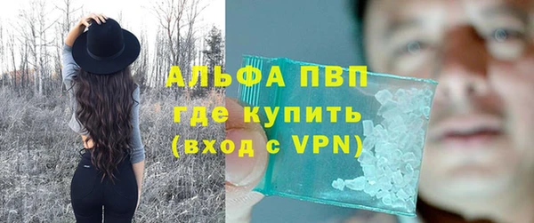 молекула духа Заволжье